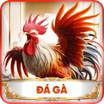 Đá gà xoso66